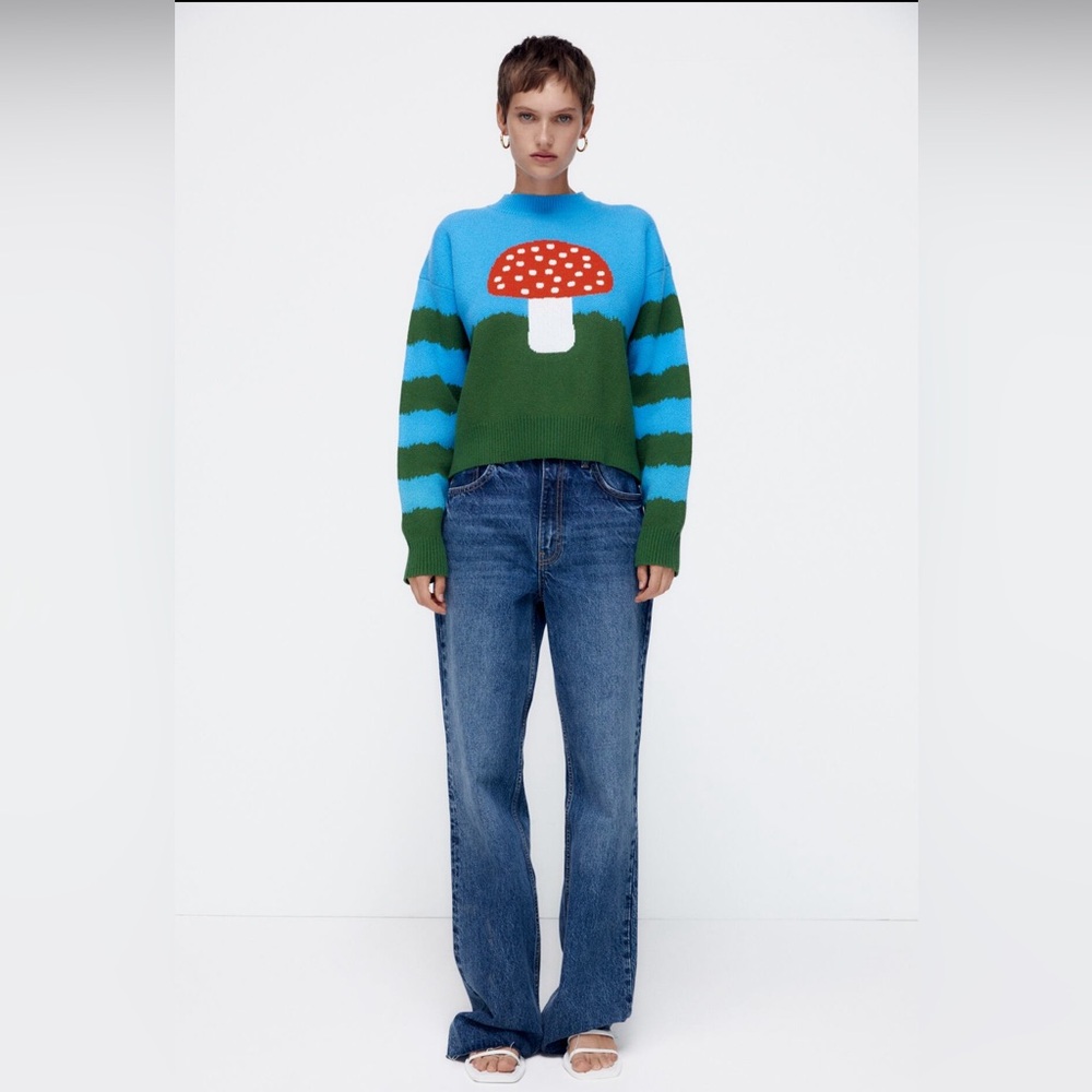 Zara sweater
